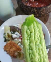 699551a319dfb scaled e1771425286330