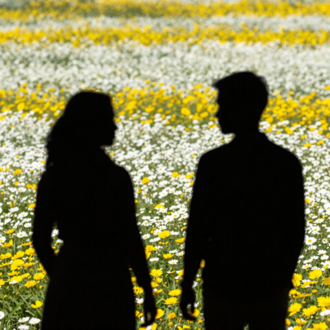 Seperti endorfin Seperti endorfin