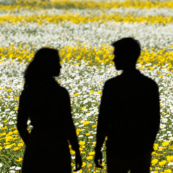 Seperti endorfin e1771424198976 Seperti endorfin e1771424198976