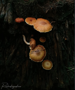 69d349c942aaa e1775689761129 69d349c942aaa e1775689761129