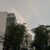 luka di tengah perjalanan pulang