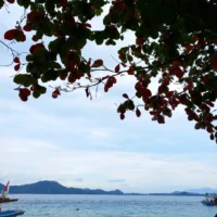 asa sagara